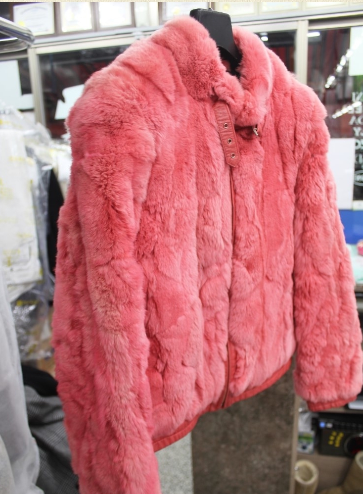 120103_daeguclean202313.jpg