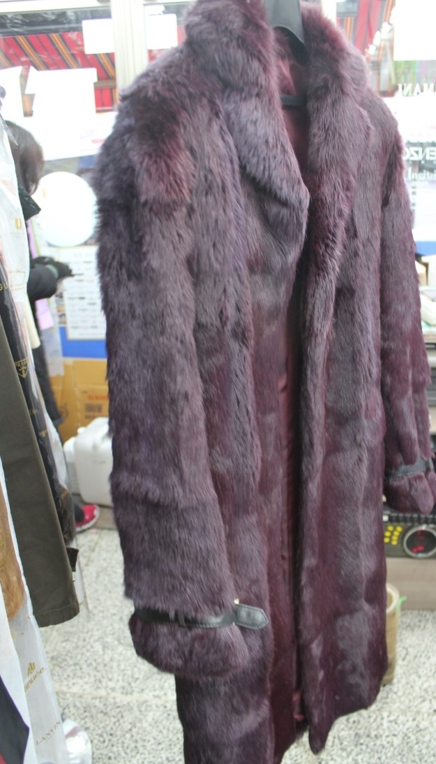 120104_daeguclean203250.jpg